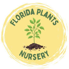Florida Plants Nursery