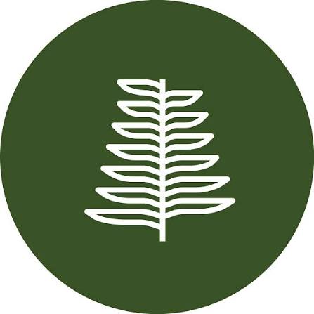 Jackfir