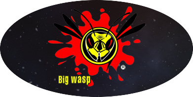 Bigwasp