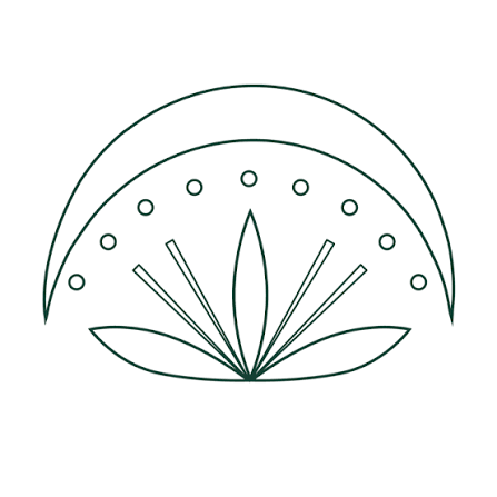 Herbal Skin Solutions