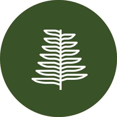 Jackfir