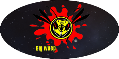 Bigwasp