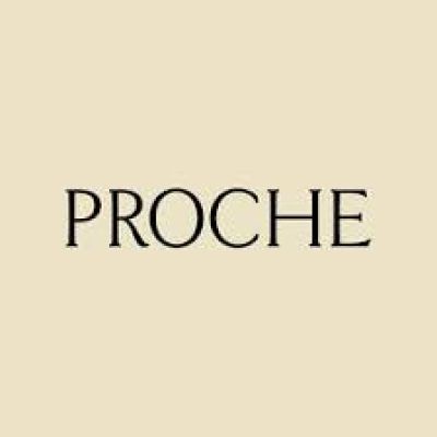prochestudio.com