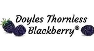 Doyle Blackberry, Inc.