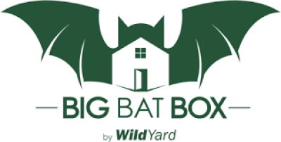 Big Bat Box