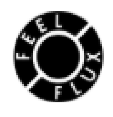 Feel Flux