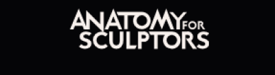 Anatomy For Sculptors