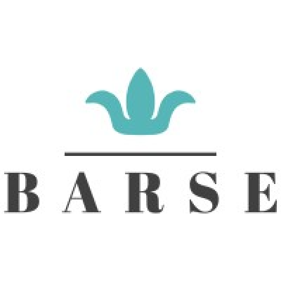 Barse Jewelry